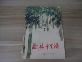 胶林千里绿·