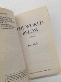 Sue Miller 
The World Below