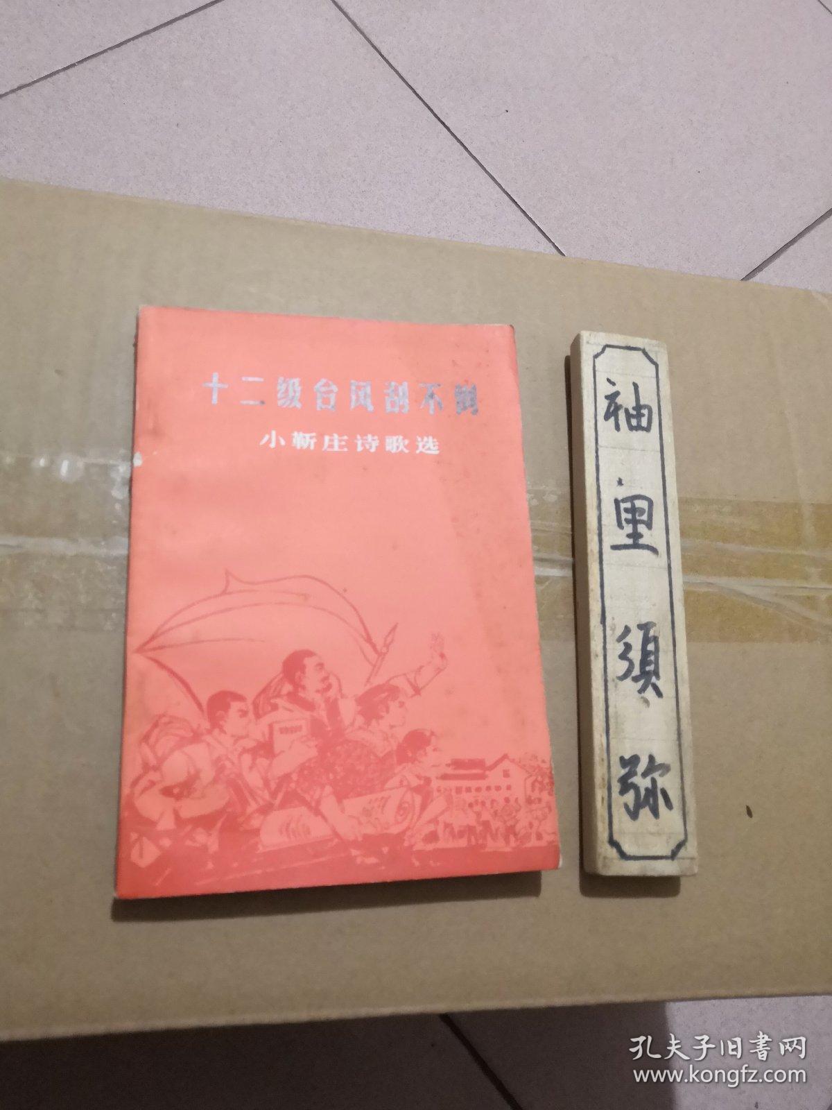 12级台风刮不倒——小靳庄诗歌选