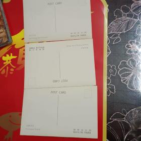 桂林市公园七星岩无格式明信片一套10枚合售