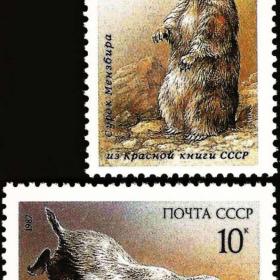 水獭 苏联邮票 1987年  一套2枚 绝版珍藏 全新保真