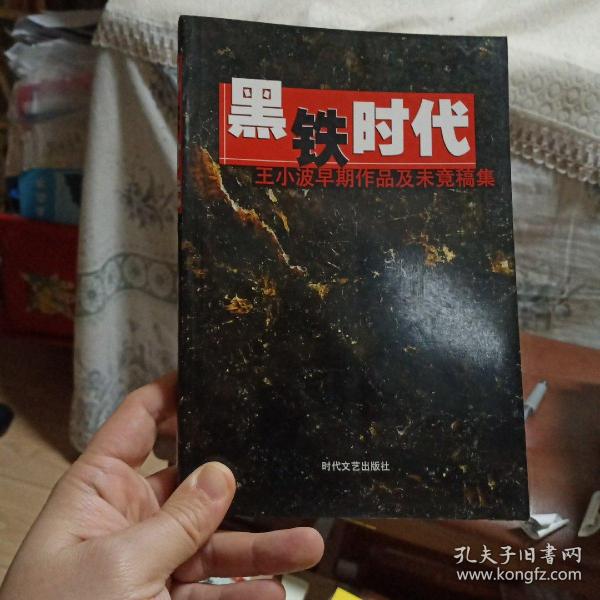 黑铁时代：王小波早期作品及未竟稿集