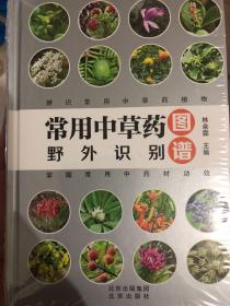 常用中草药野外识别图谱