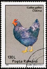 念椿萱 外国邮票 罗马尼亚 5112 1995年 动物鸡 6-2 130L全旧