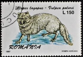 念椿萱 外国邮票 罗马尼亚 5229 1997年 动物狐狸 6-2 150L全旧