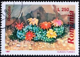 AA念椿萱 外国邮票 罗马尼亚 5257 1997年 植物仙人掌 6-2 250L全旧