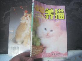 家庭养猫