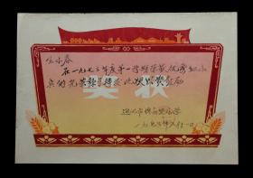 1973年：通化市佟江路小学【优秀红小兵奖状】一张（植绒）收藏品