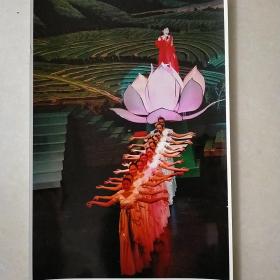 摄影作品《轻歌曼舞迎回归》