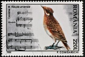 念椿萱 外国邮票 罗马尼亚 5210 1996年 动物鸟 6-3 220L全旧