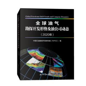 全球油气勘探开发形势及油公司动态(2020年)