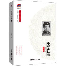 博文全本经典名著系列：小游击队员