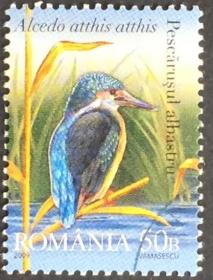 念椿萱 外国邮票 罗马尼亚 6343  2009年 动物 鸟 1枚旧 盖销票 量少品种