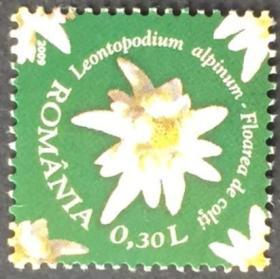 念椿萱 外国邮票 罗马尼亚 6350 2009年  植物花 1枚旧 盖销票 量少品种