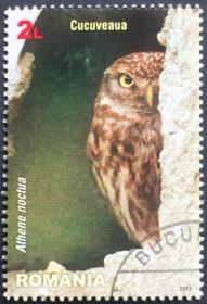 AA念椿萱 外国邮票 罗马尼亚 6721 2013年 动物 猫头鹰 2L全盖销
