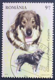 念椿萱 外国邮票 罗马尼亚 6643 2012年 动物 狗 9.1L全盖销