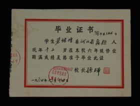 1964年：北京市宣武区陶然亭小学【老毕业证】一张 收藏品