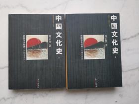 中国文化史（全2册）