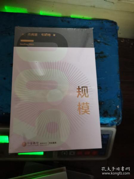 规模：复杂世界的简单法则