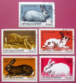 兔子全套5种--希腊邮票--早期外国邮票甩卖--动物邮票--实拍--包真，