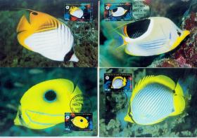 密克罗尼西亚 1997年 世界野生动物基金会 WWF 珊瑚鱼  极限片 4全新
