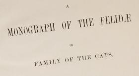 【复印件】猫科动物图鉴.A monograph of the Felidae or family of the cats.By Daniel Giraud Elliot.英文版.1883年本 手工装订