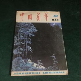 中国青年1981-14