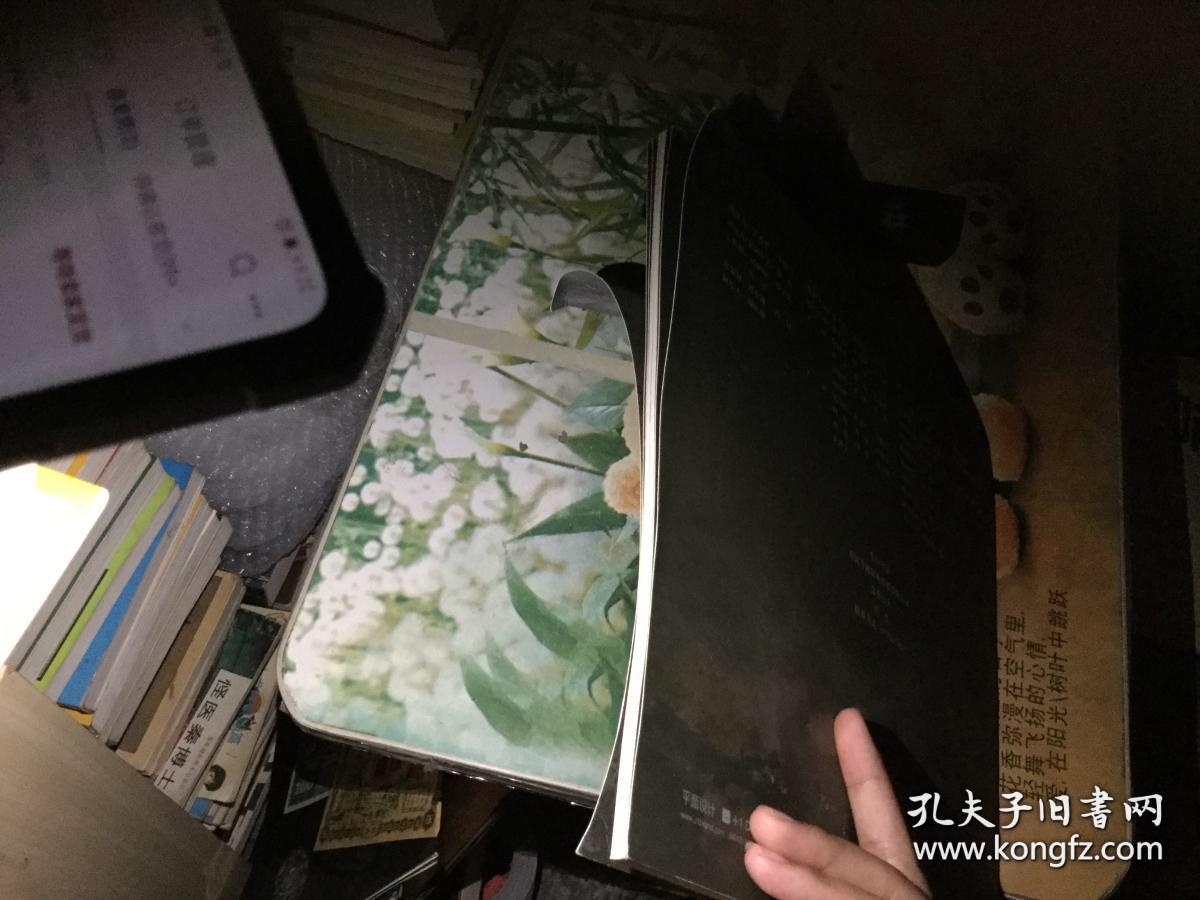 红色抗战传奇巨制《战地狮吼》剧照简介 宣传画册