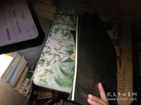 红色抗战传奇巨制《战地狮吼》剧照简介 宣传画册