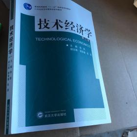 技术经济学（第2版）/普通高等教育“十一五”国家级规划教材·21世纪经济学管理学系列教材