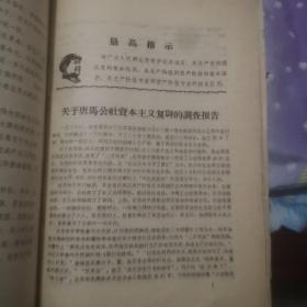 关于唐马公社资本主义复辟的调查报告