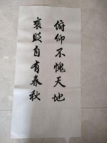 书法纯手写 俯仰不愧天地 褒贬自有春秋 字画送礼挂家