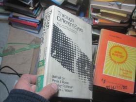 4676 Through Different Eyes Black and white perspectives on American Race Relations 精