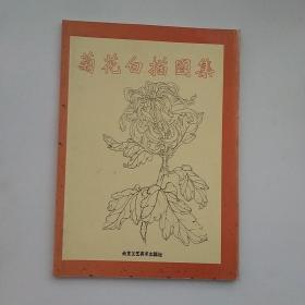 菊花白描图集/中国传统工艺美术资料丛书