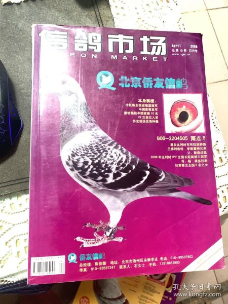 信鸽市场2008年第4期【总第15期】   b24-3