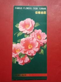 云南名花 （邮资明信片）