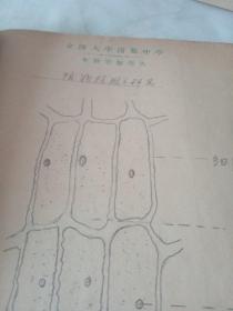 金陵大学附属中学，生物实验报告从中华民国35年到1947年，总共16次试验报告。