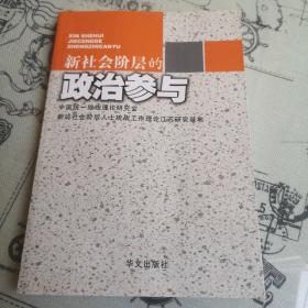 新社会阶层的政治参与