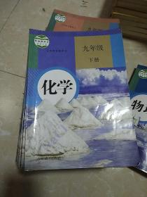 义务教育教科书化学 九年级下册