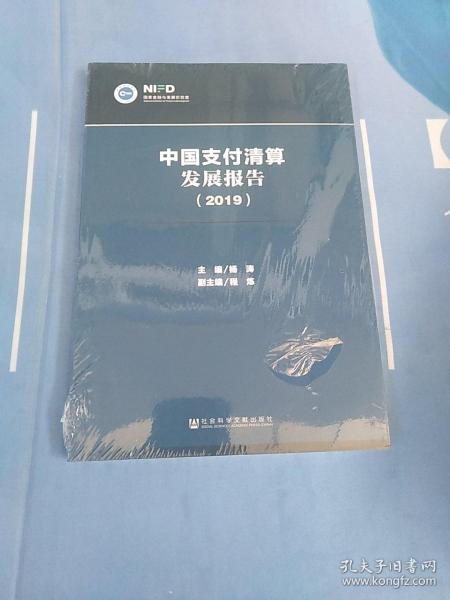 中国支付清算发展报告（2019）