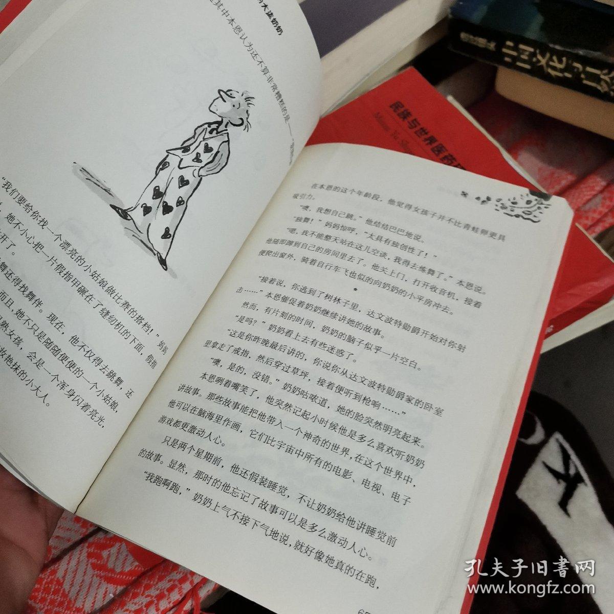 了不起的大盗奶奶：大卫·少年幽默小说系列