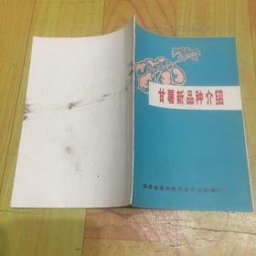 甘薯新品介绍