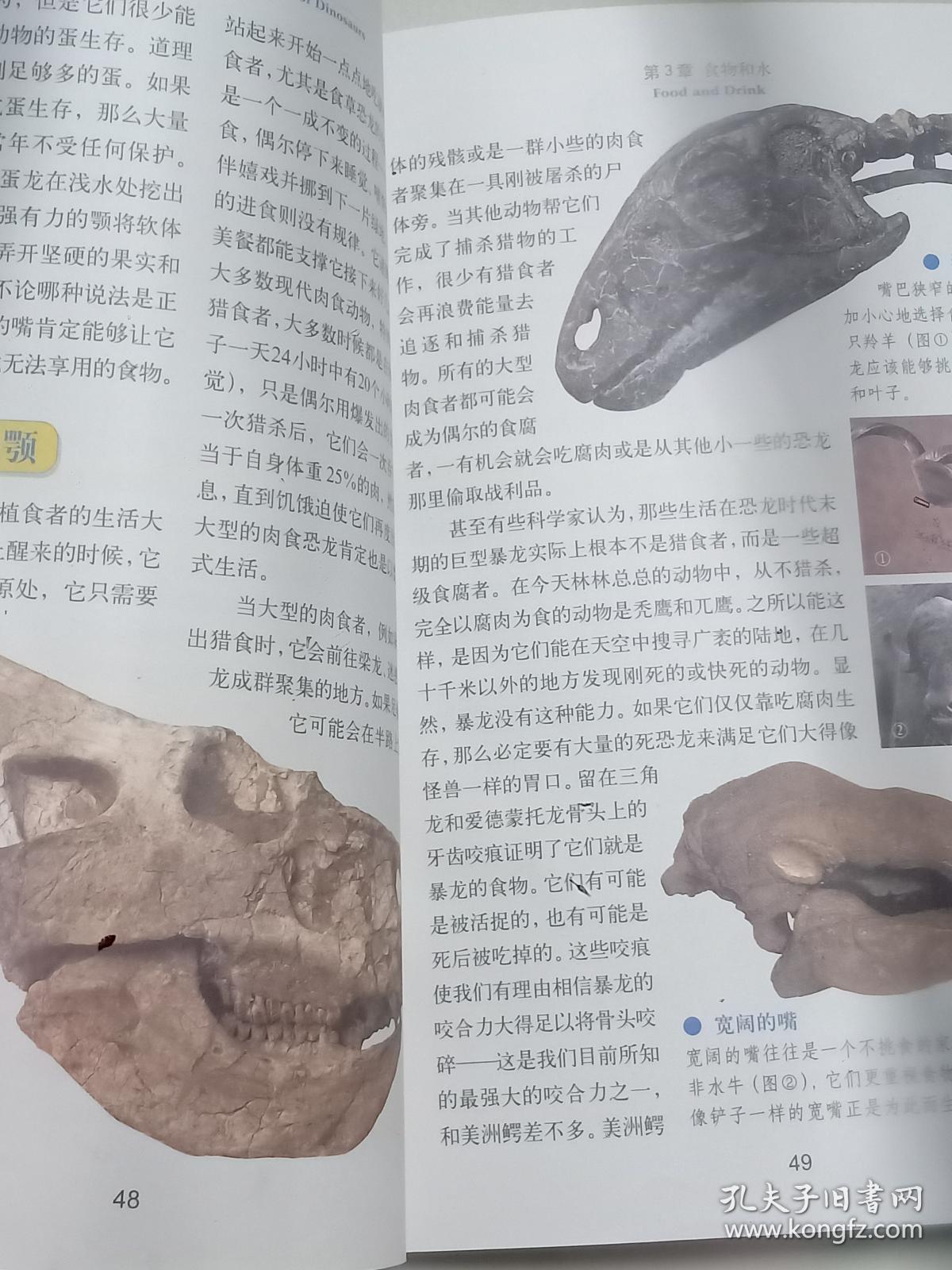 彩图版  恐龙百科