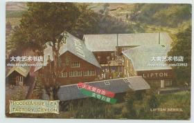 清末早期锡兰的立顿茶园明信片----立顿POOPRASSIE 博帕西亚茶厂外景建筑整体全览老明信片
