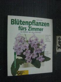 德文版 BLÜTENPFLANZEN FÜRS ZIMMER  房间的花卉植物