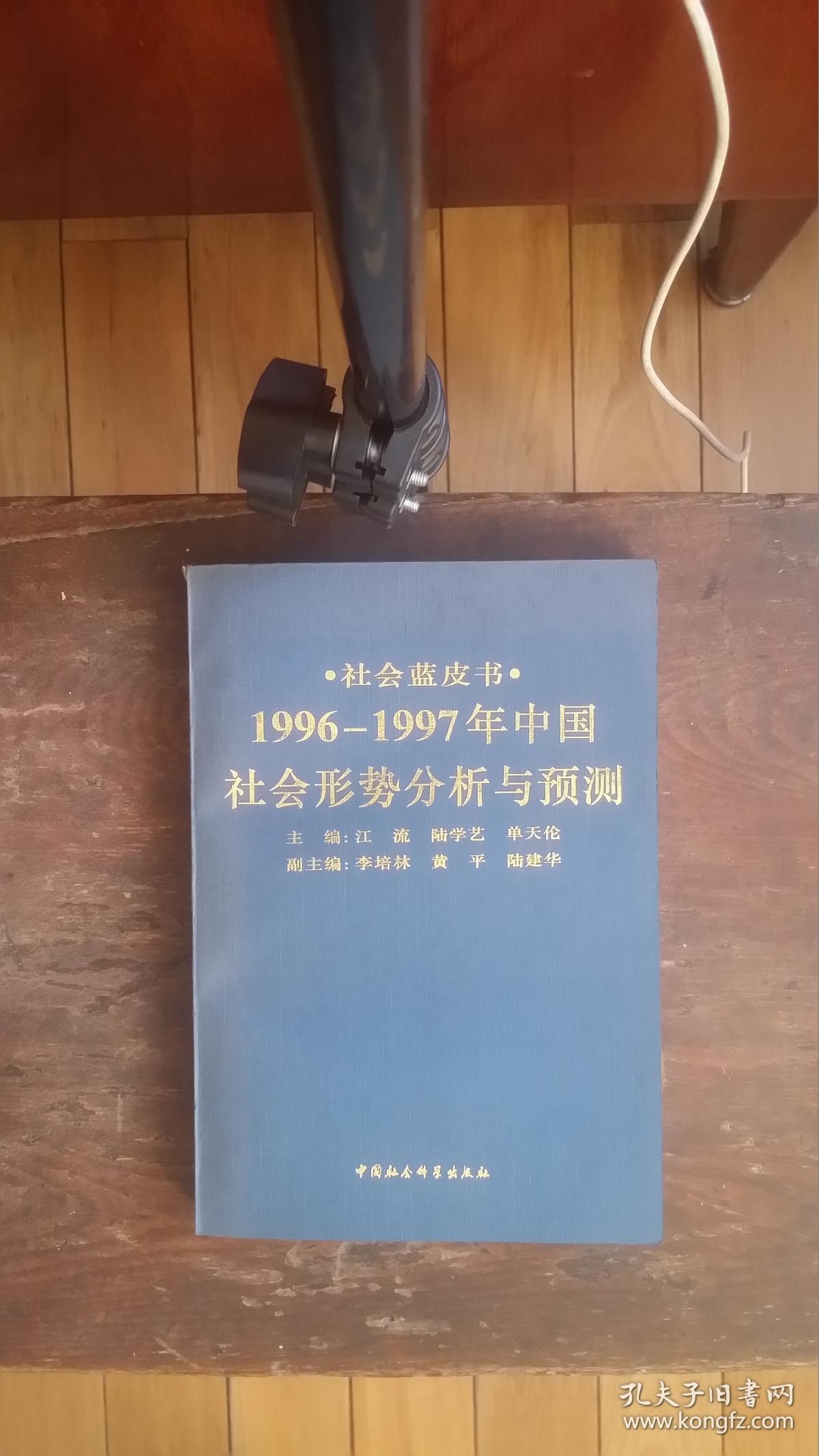 1996年1997年中国社会形势分析与预测社会蓝皮书