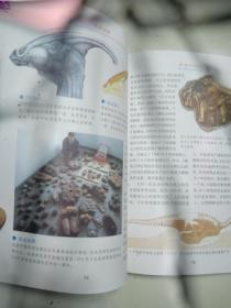 彩图版  恐龙百科