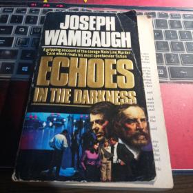 JOSEPH WAMBAUGH ECHOES IN THE DARKNESS