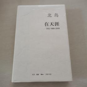 在天涯：诗选1989—2008