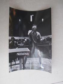 胡越摄影：我国18岁的谢赛克在第五届亚乒赛中初露锋芒。  尺寸：17.8厘米*13.2厘米
